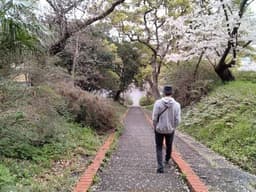 ふくきた|才気道 家元
